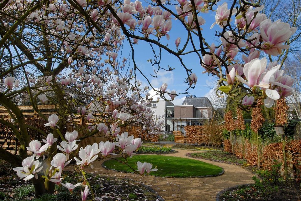 746eb7a2 1427 48b2 9028 74564edc13d5